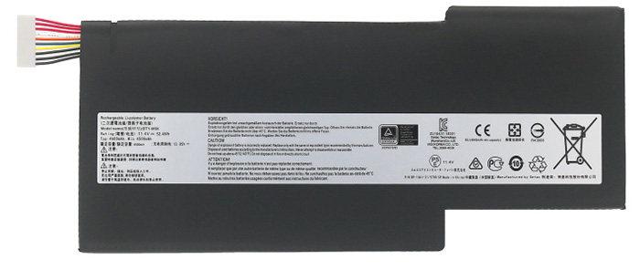 Bravo-17-A4DDR-Series Datorbatteri